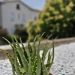 Maison Ping ,en Face Des Arenes * Béziers